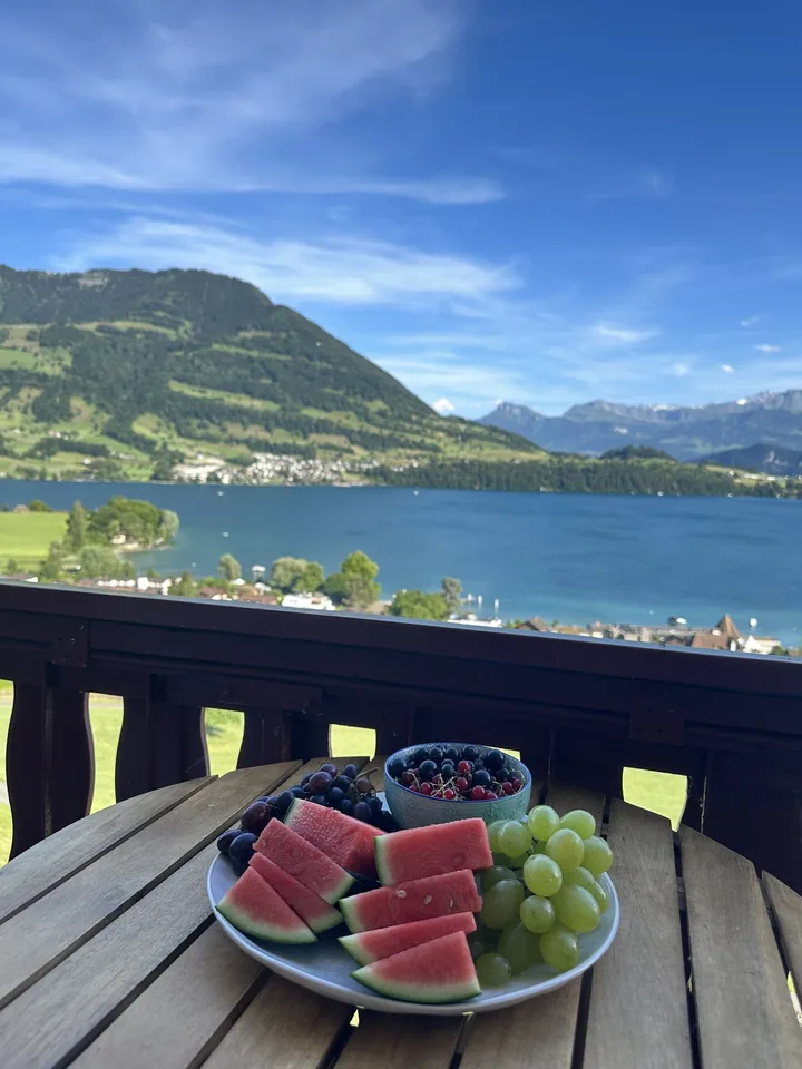 Charmante 5.5-Zimmer-Wohnung mit traumhaftem See- und Bergblick in Merlischachen (SZ)
