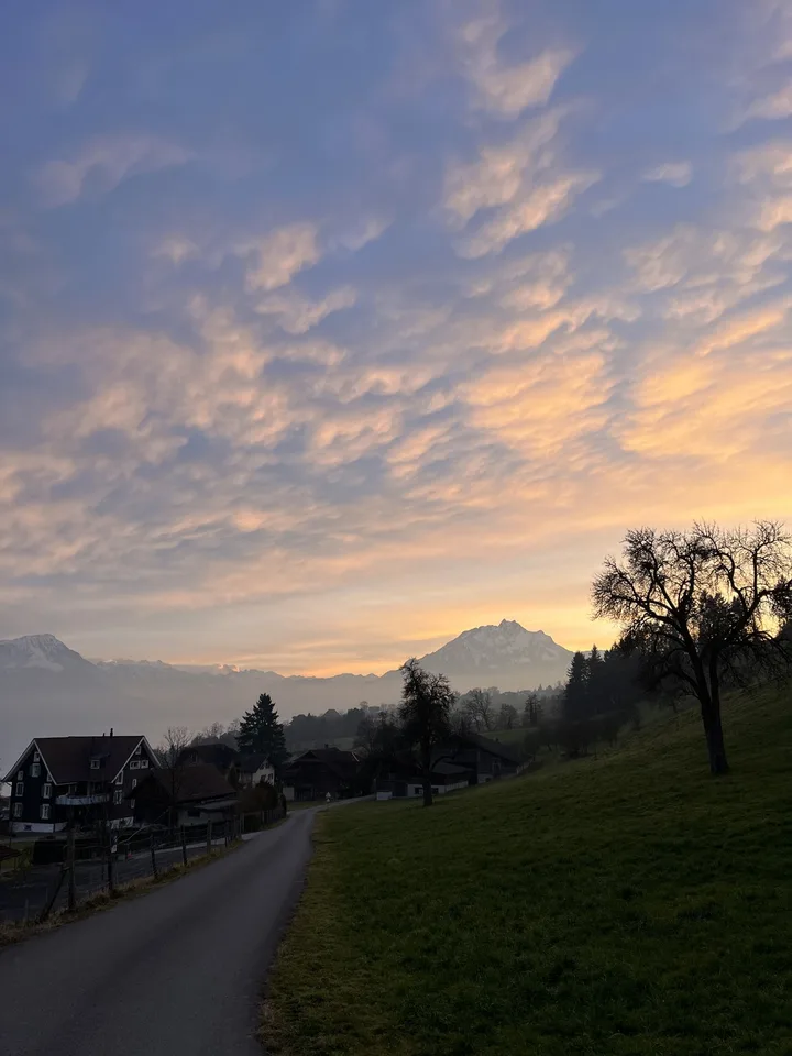 Charmante 5.5-Zimmer-Wohnung mit traumhaftem See- und Bergblick in Merlischachen (SZ)