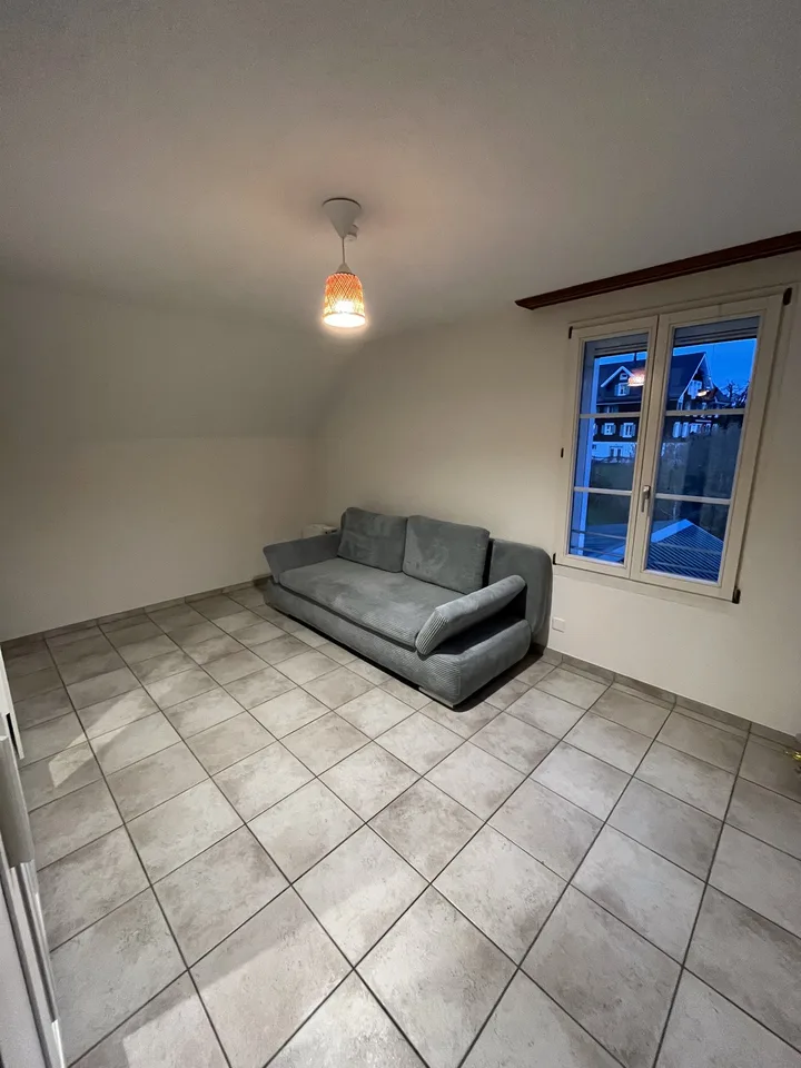 Charmante 5.5-Zimmer-Wohnung mit traumhaftem See- und Bergblick in Merlischachen (SZ)