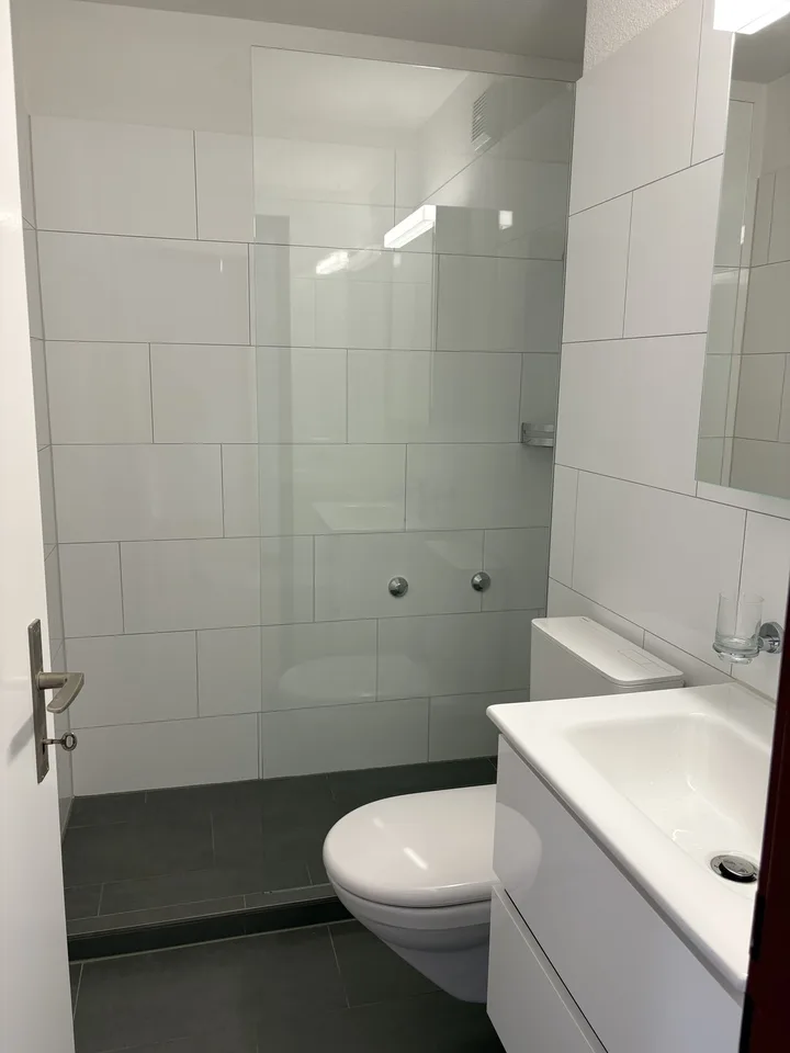 A lovely, bright 2.5-room flat with a view of Mount Pilatus