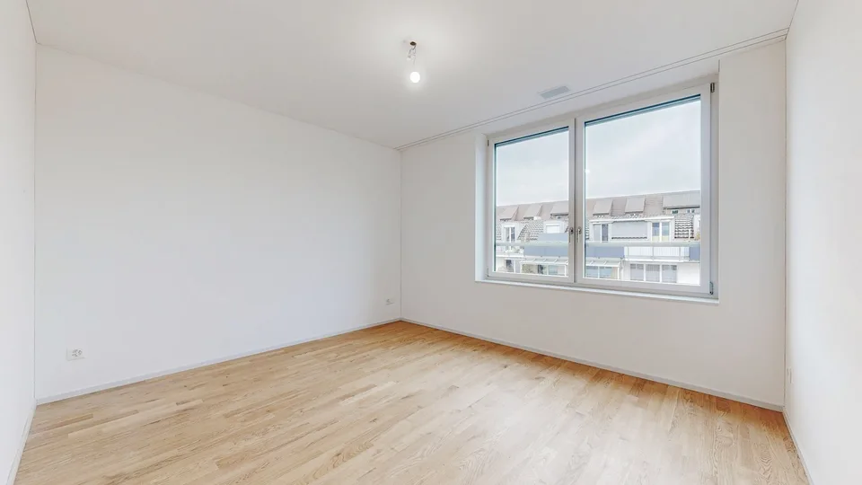 Projekt LOU - Wohlfühloase im lebendigen Tribschenquartier