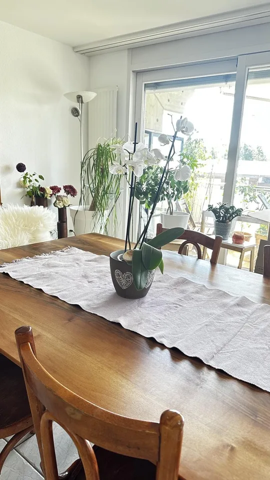 Reprise de bail: idéale famille. Appartement 4,5 pièces avec balcon, annimaux acceptés