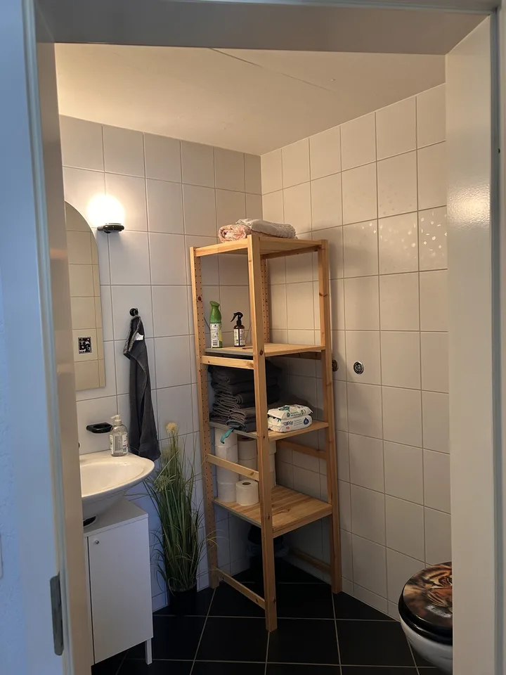4,5 Zimmer Wohnung mit Grosser Galerie