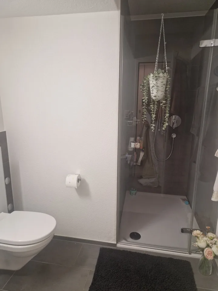 4.5 Wohnung in Sempach