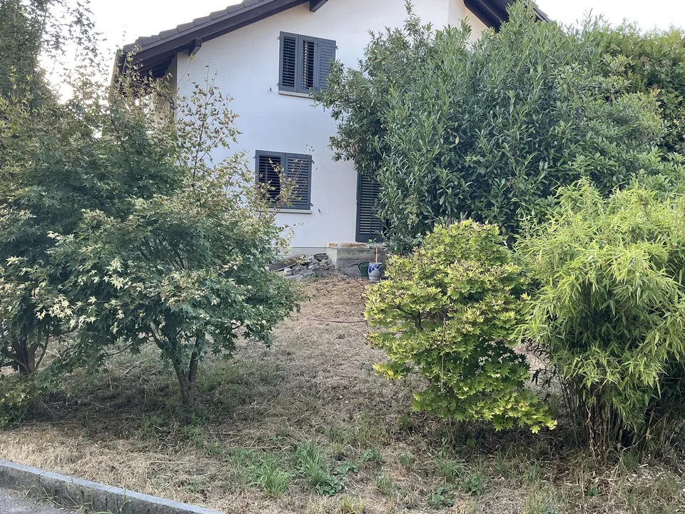 Einzimmerwohnung in Wil AG