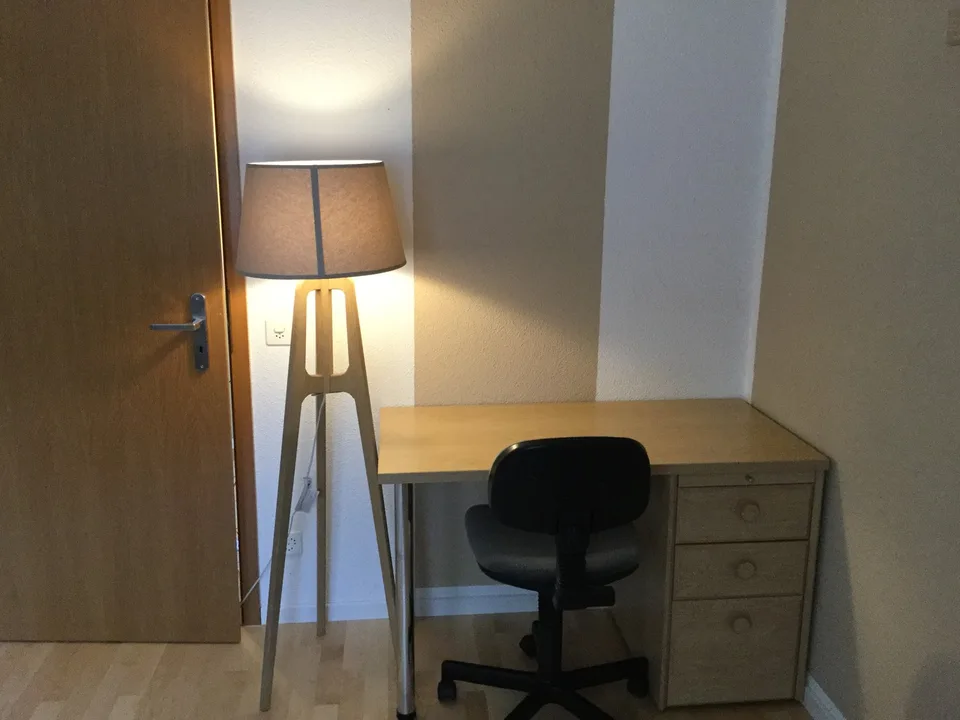 Einzimmerwohnung in Wil AG