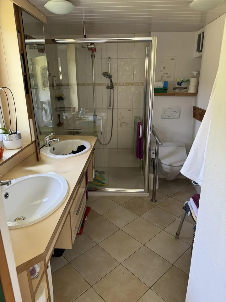 Wohnen mit Loft-Charakter – Charmante 3 Zimmer-Dachwohnung in Leibstadt