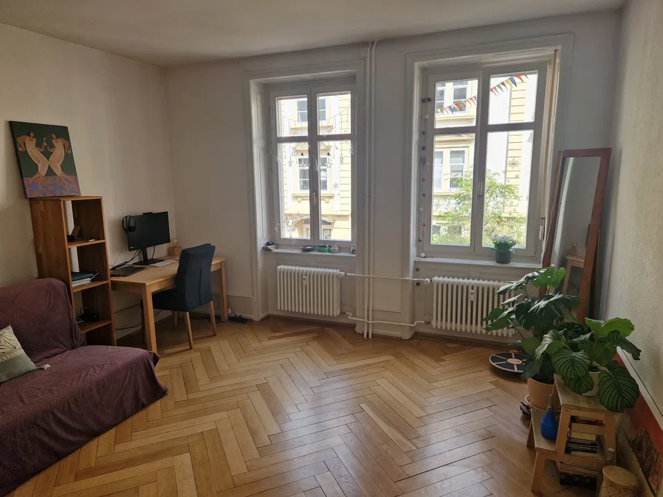 Furnished 2.5 Room Apartment in Kleinbasel – 1-Year Sublet (Single or Couple)