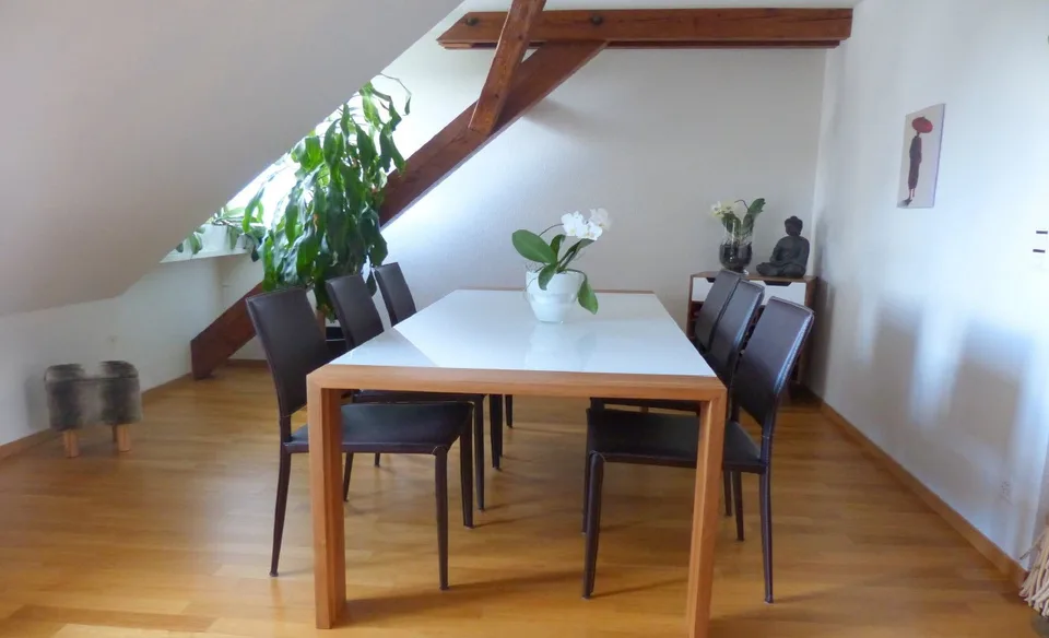 3.5 – Zimmer Dachwohnung / 3.5-Room Top-Floor Apartment