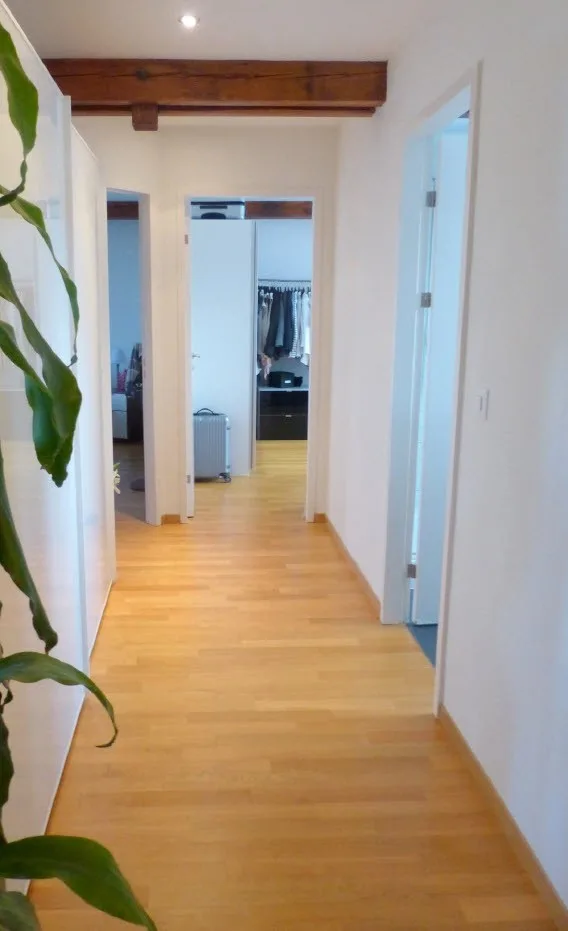 3.5 – Zimmer Dachwohnung / 3.5-Room Top-Floor Apartment
