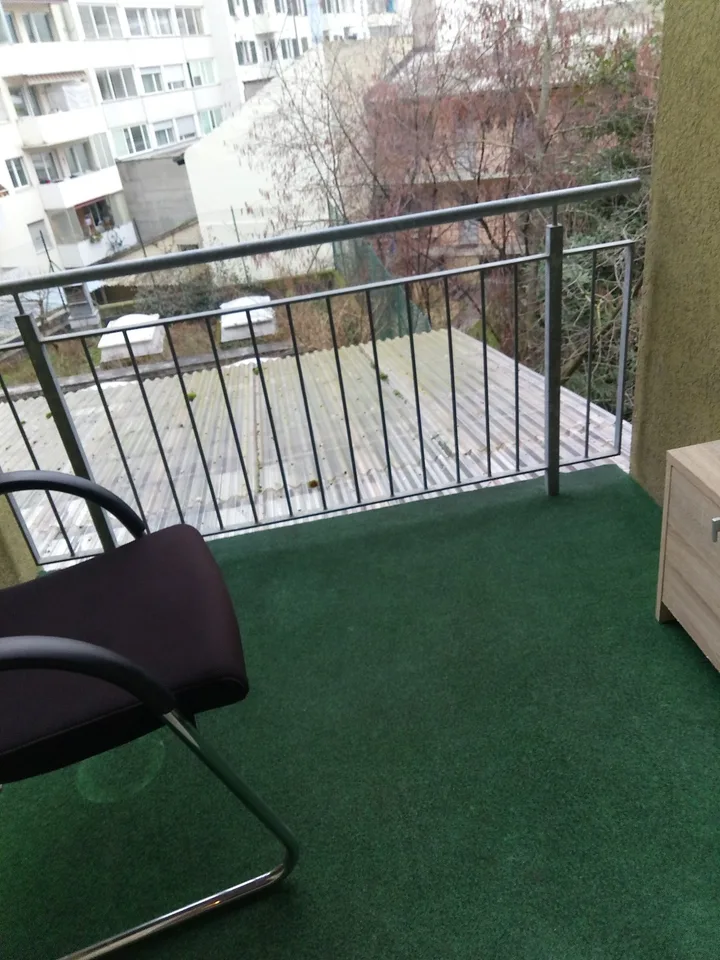 Basel stadt rent a place