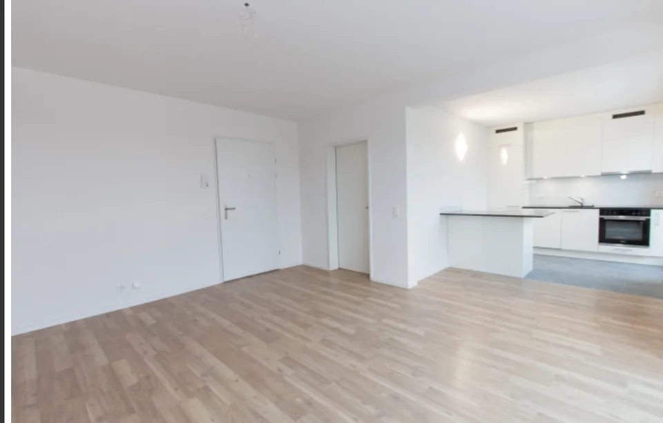 2 Zimmer Maisonette Wohnung Riehen mit toller Aussicht ins Grüne