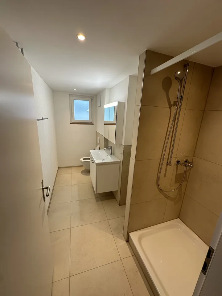 Kleinhüningerstrasse 115, 4057 Basel - CHF 1’690 inkl. NK pro Monat