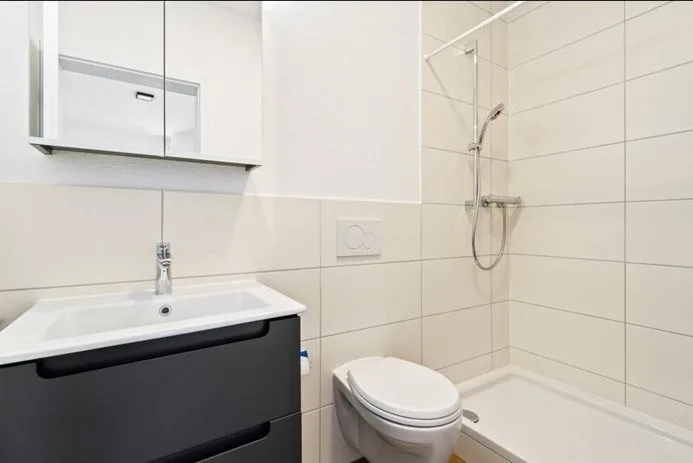 Carl-Franz-Bally Strasse 7, 5012 Schönenwerd - CHF 1’000 inkl. NK pro Monat