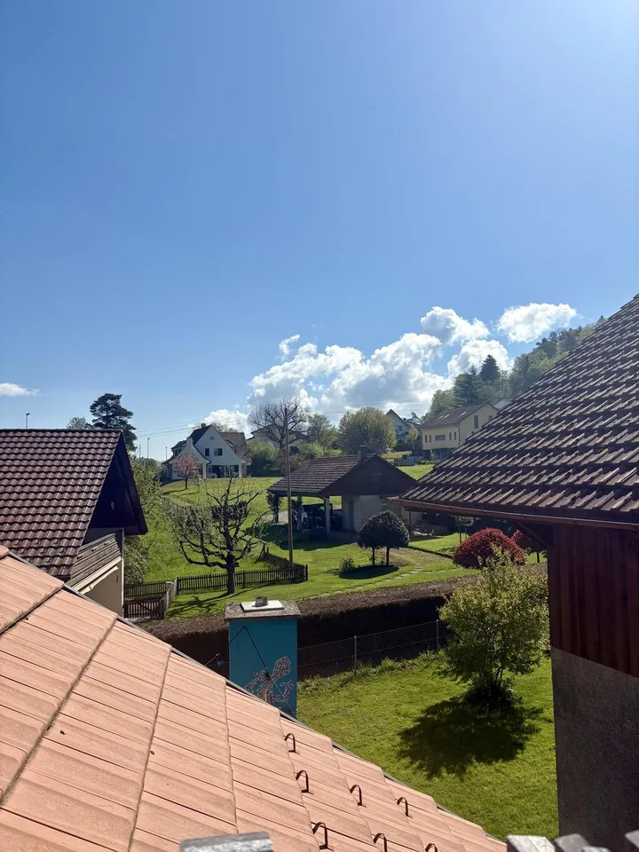Stilvolle 4-Zimmer-Maisonette mit attraktivem Wohnbereich, charaktervollen Altholzbalken an ruhiger Lage