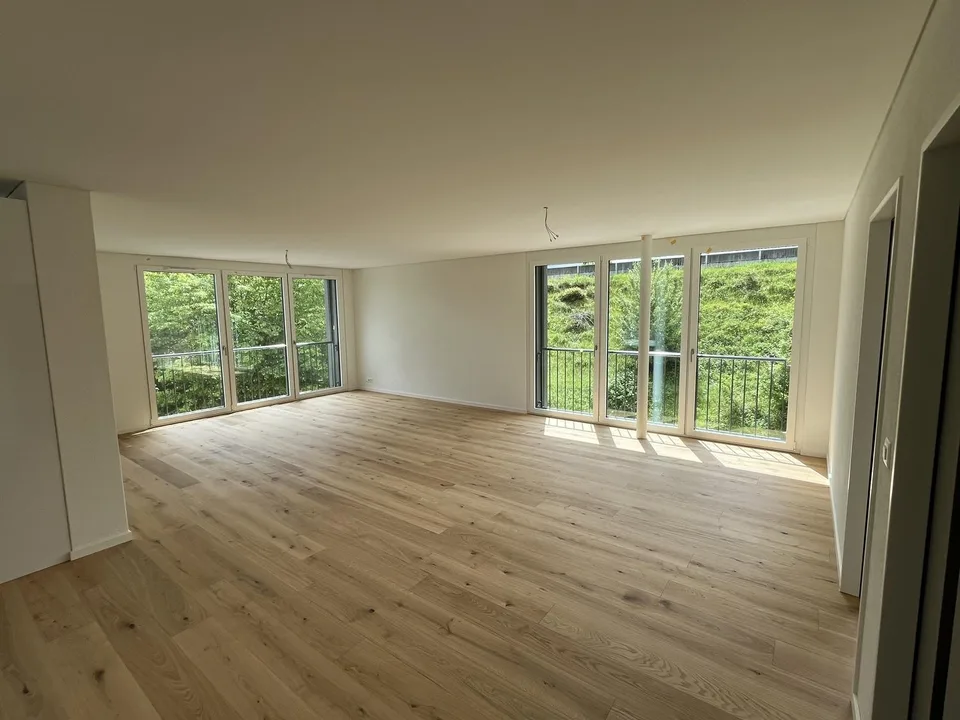 Erstvermietung 3.5 Zi-Wohnung 158m2 Loft-Style, 2600.- Fr