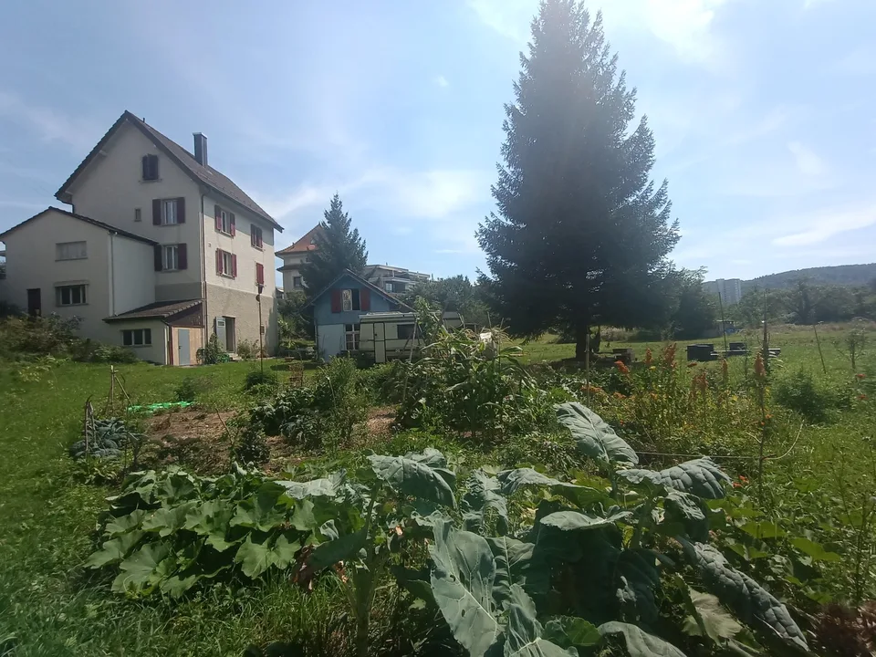 Wg-Zimmer