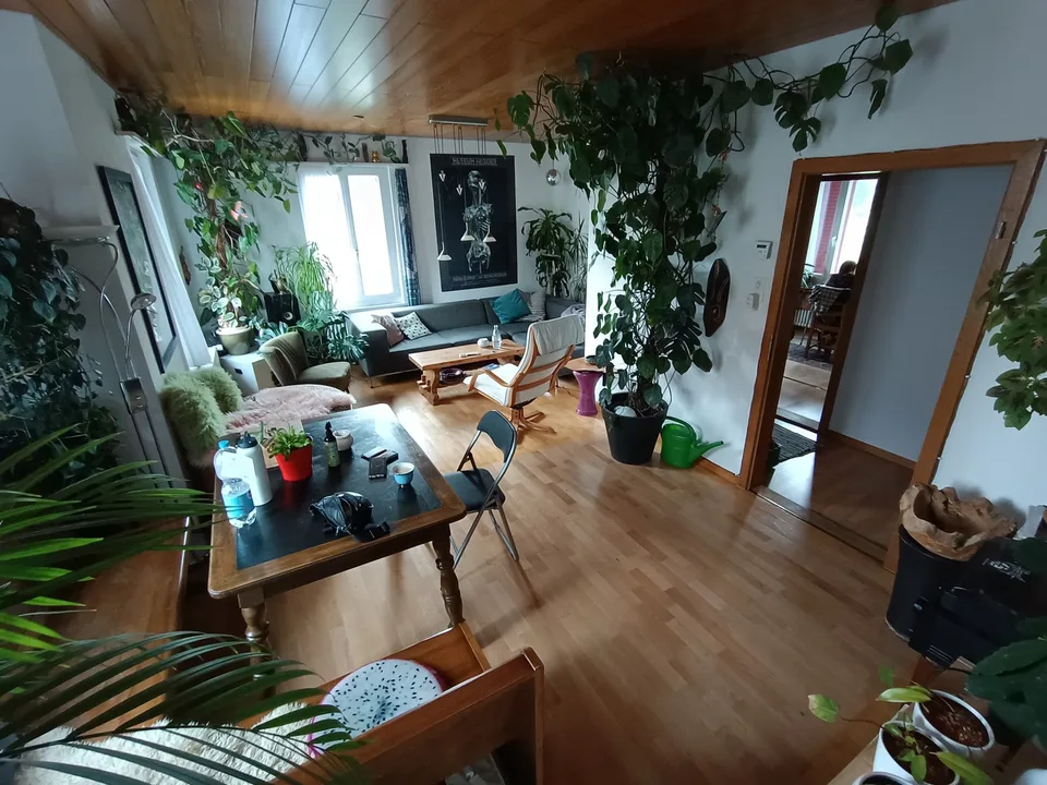 Wg-Zimmer