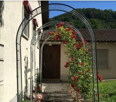 Gemütliches, voll möbliertes Studio mit Gartenblick in Füllinsdorf