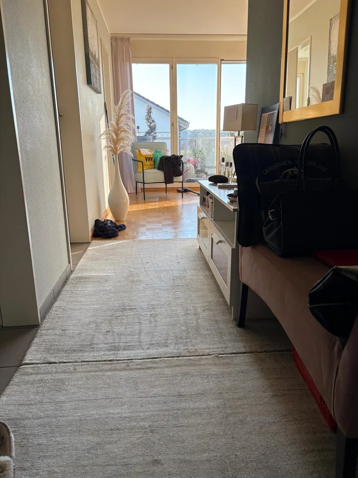 Wohnen am Rhein: Ruhige, voll möblierte 3-Zimmer-Wohnung mit Süd-West-Balkon