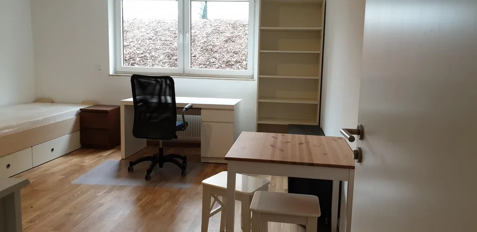 WG-Zimmer mit Küche & Badezimmer in 79639 Grenzach-Wyhlen – nahe Lörrach/Basel - DEUTSCHLAND