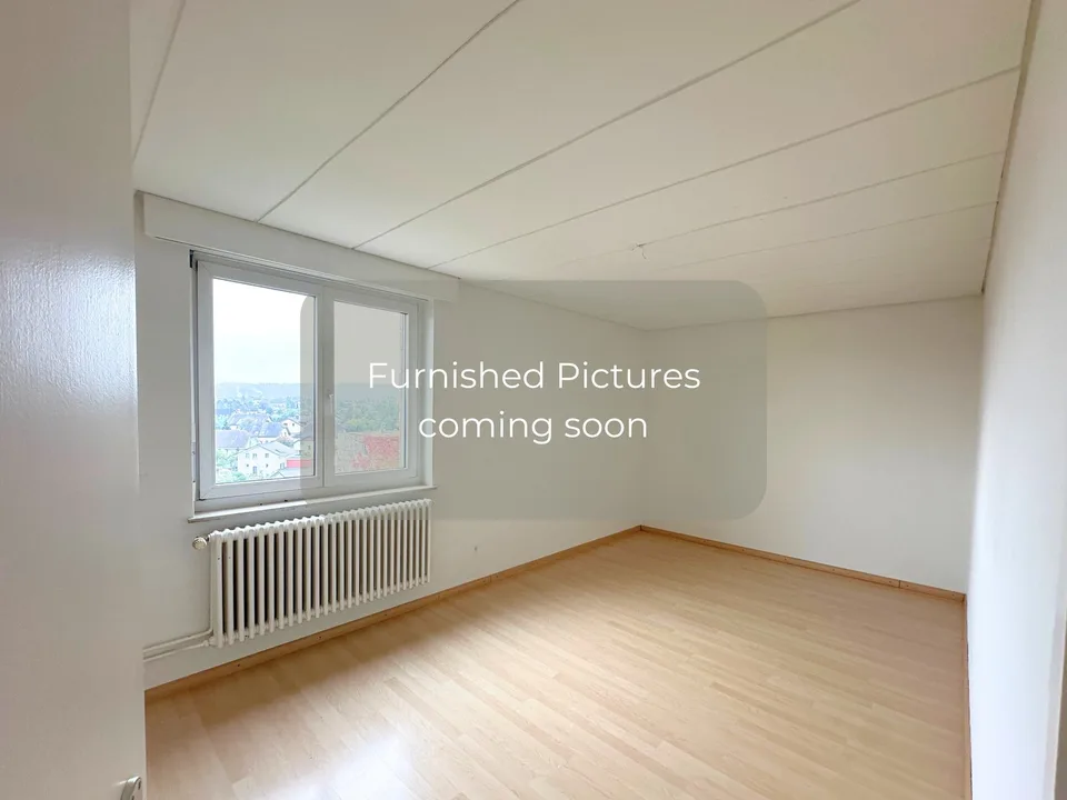 Furnished Student and Expat Housing in Zollikon