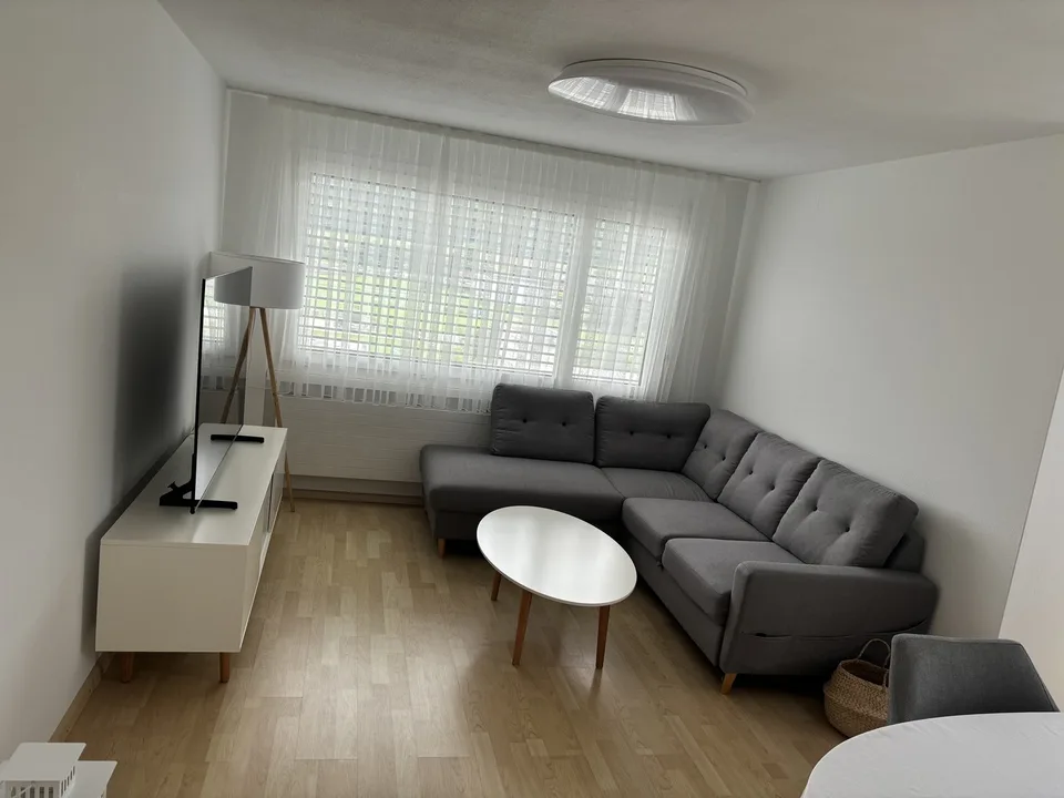 Möblierte 3.5 Zimmer-Wohnung