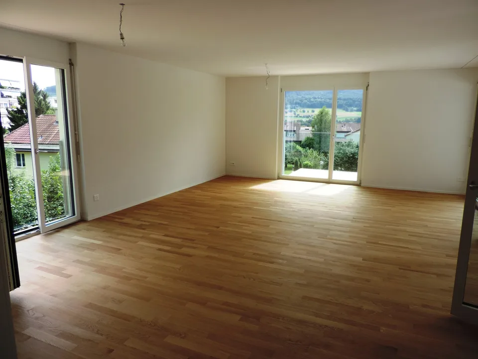 Attraktive 4.5-Zimmer-Attikawohnung in Wangen bei Olten