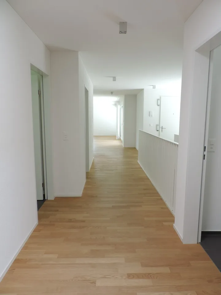 Attraktive 4.5-Zimmer-Attikawohnung in Wangen bei Olten