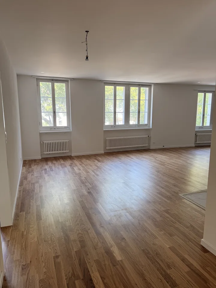 Neue Altstadtwohnung im Herzen von Olten