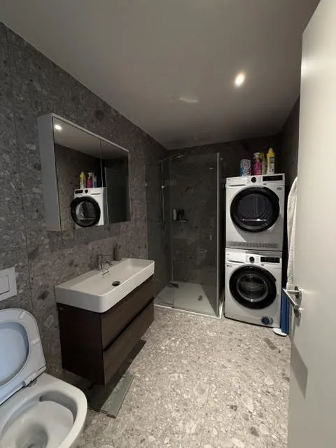 Moderne 1.5 Zimmer Neubauwohnung in Aarburg, ab sofort verfügbar