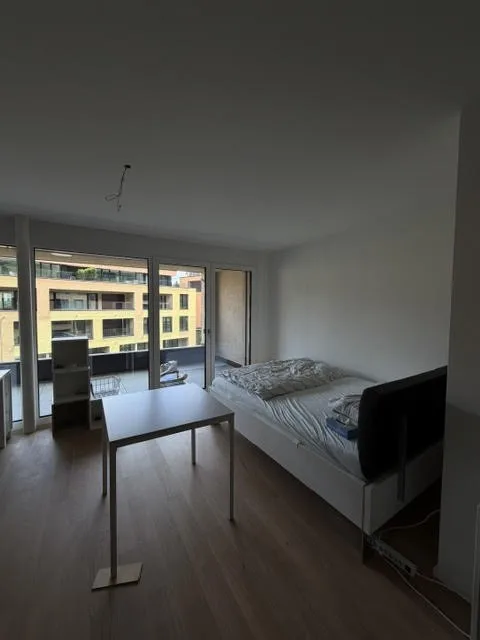 Moderne 1.5 Zimmer Neubauwohnung in Aarburg, ab sofort verfügbar