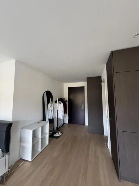 Moderne 1.5 Zimmer Neubauwohnung in Aarburg, ab sofort verfügbar