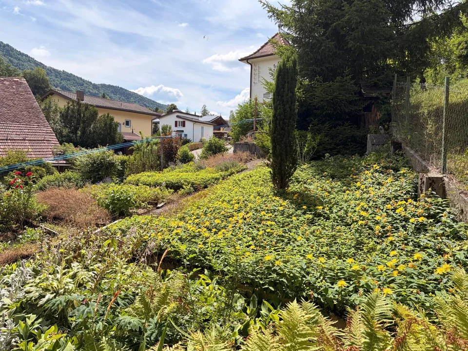 Wohnhaus mit Stall und Scheune, Vorplatz und einem Garten