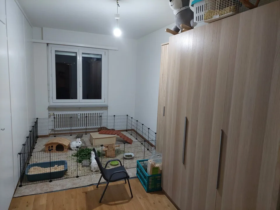 4 Zimmer Wohnung