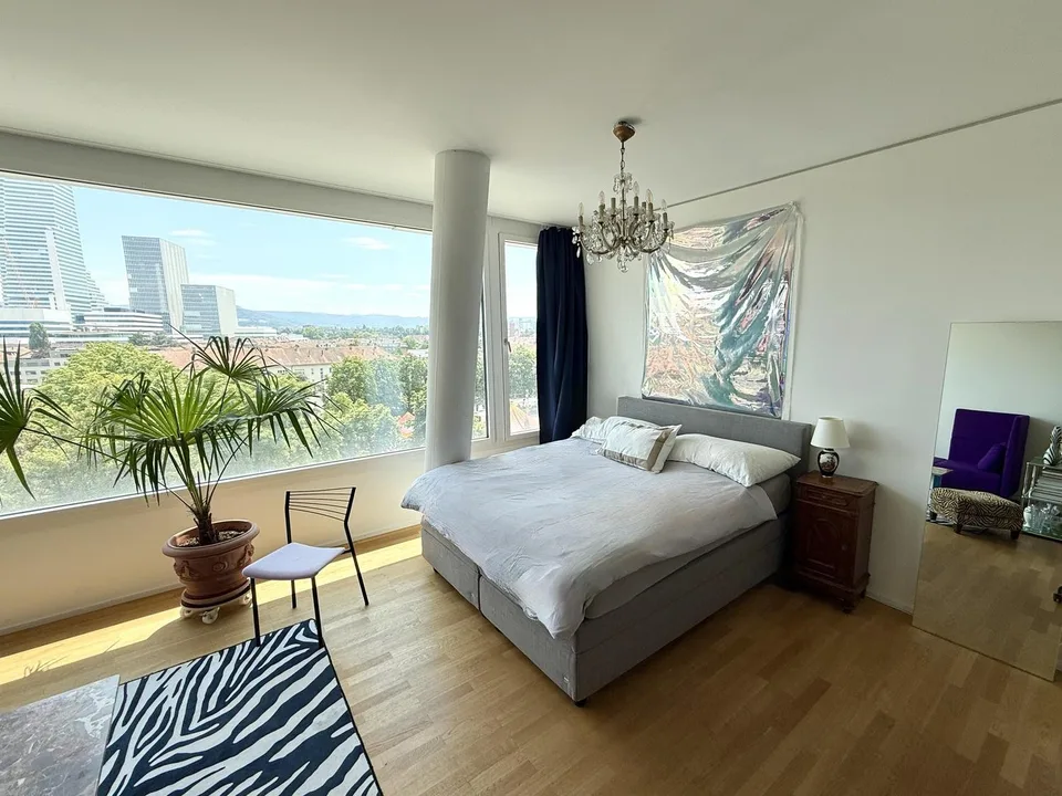 Move-in Ready Designer Apartment for Roche / Novartis Professionals