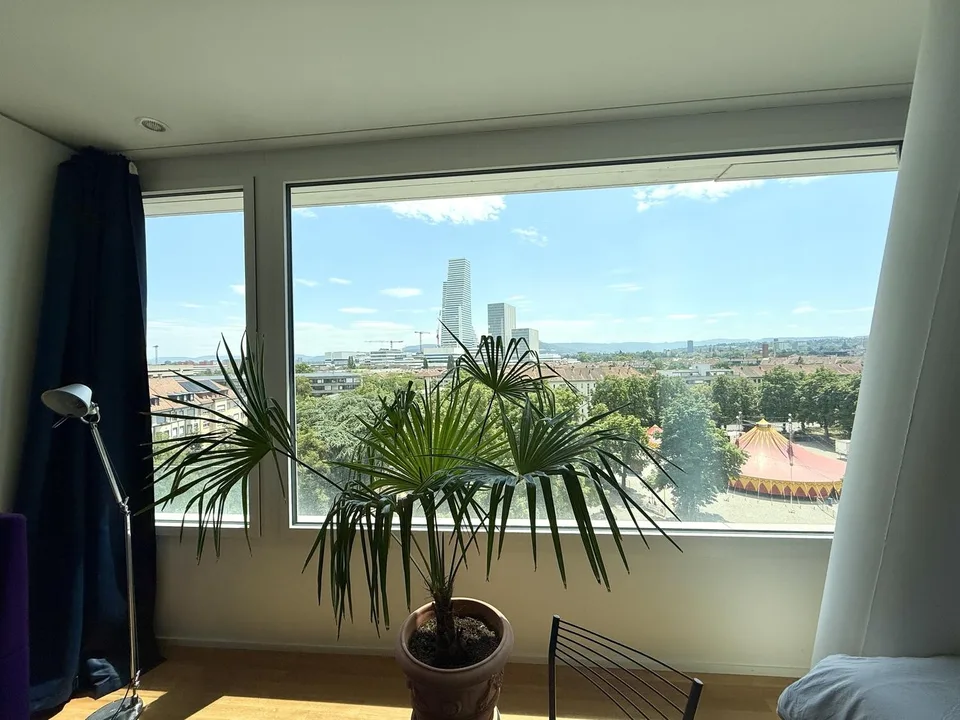 Move-in Ready Designer Apartment for Roche / Novartis Professionals