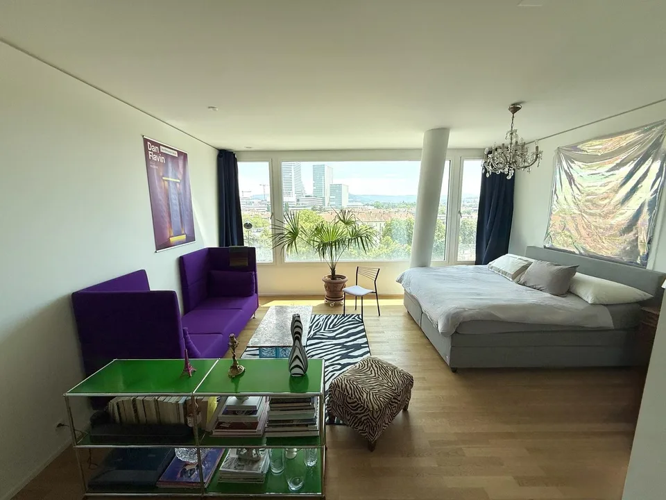 Move-in Ready Designer Apartment for Roche / Novartis Professionals