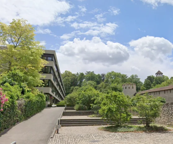 Möblierte 4.5-Zimmer-Wohnung mit Garten – direkt am Rhein in Basel
