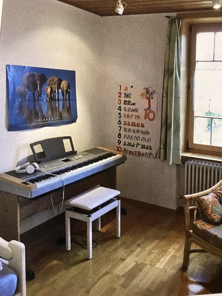 Dachzimmer im Grünen mit eigenem Stockwerk - 230 m² Garten, 15 Tram-Minuten bis Basel