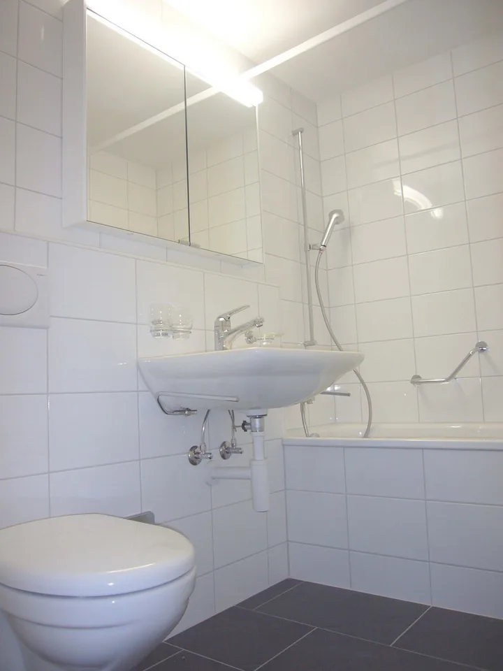 3,5 Zimmerwohnung in Gundeli