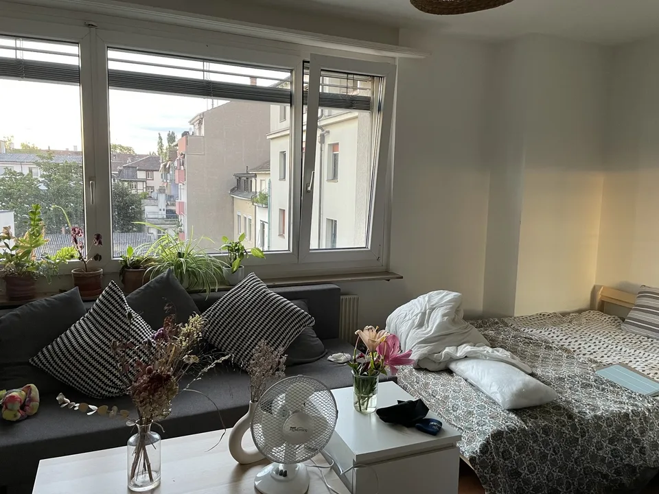 1.5 Zimmerwohnung an der Messe Basel, möbiliert, auch monatsweise