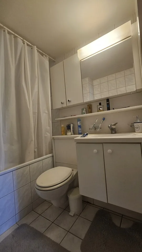 Dornacherstrasse 152, 4053 Basel - CHF 1’550 inkl. NK pro Monat