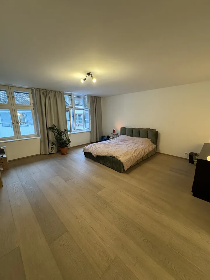 Moderne 2-Zimmer Wohnung in Alt Stadt Basel