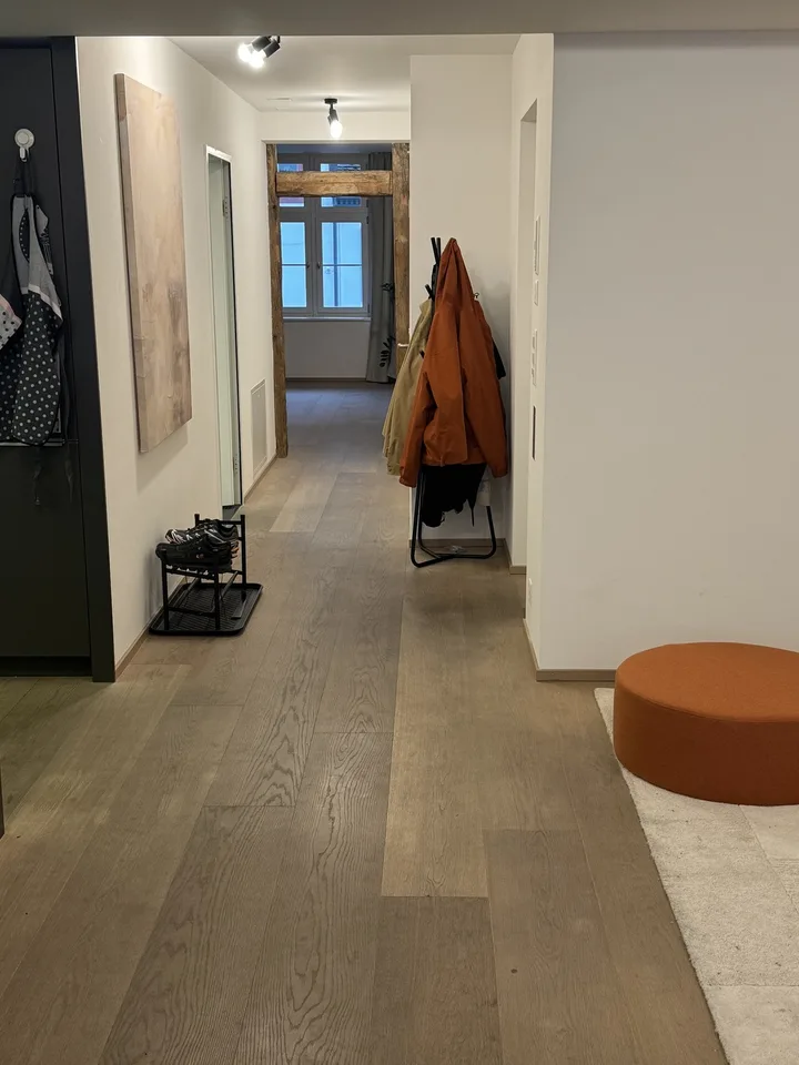 Moderne 2-Zimmer Wohnung in Alt Stadt Basel