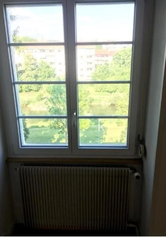 WG Zimmer in Basel mieten