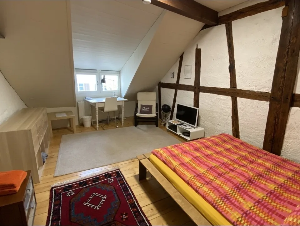 WG-Zimmer im Filmhaus Basel (Altstadt) zu vermieten