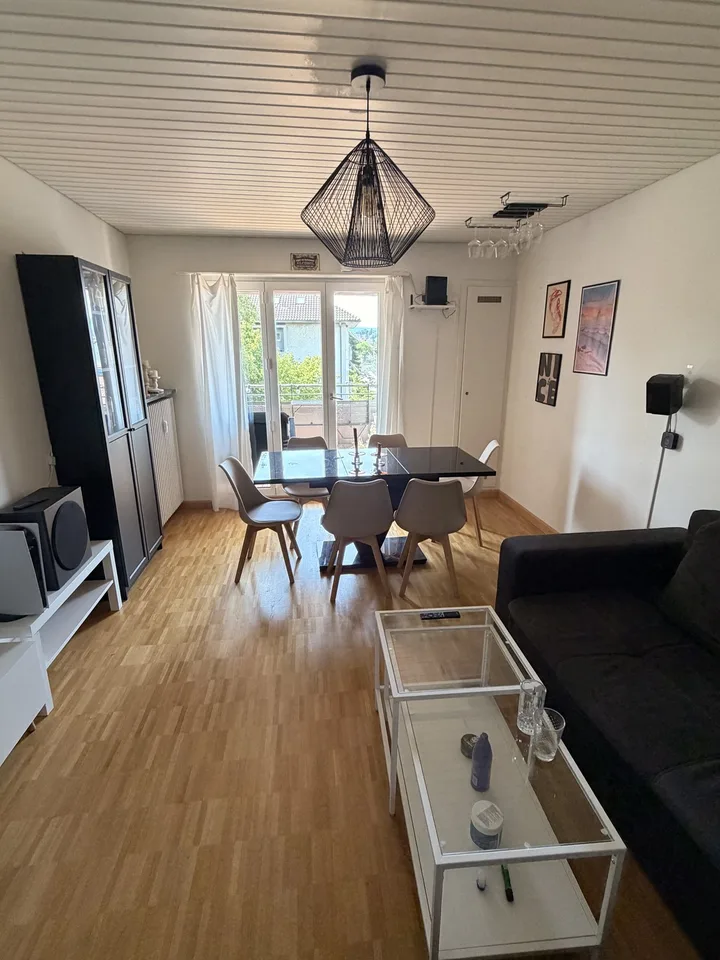 Bright Furnished Room (25 m²) in Spacious 105 m² Flatshare, CHF 1350 All Inclusive