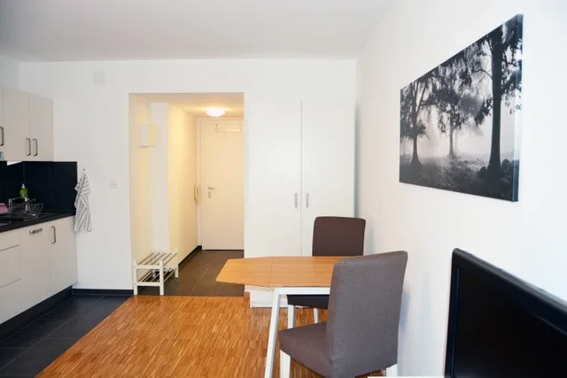 Möbliertes Studio im Herzen Basels