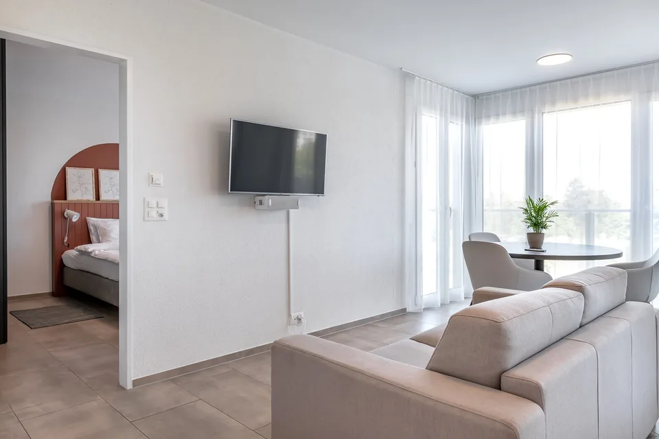 2.5 room flat - 10 minutes from the station